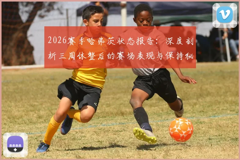 2026赛季哈弗茨状态报告：深度剖析三周休整后的赛场表现与保持秘诀